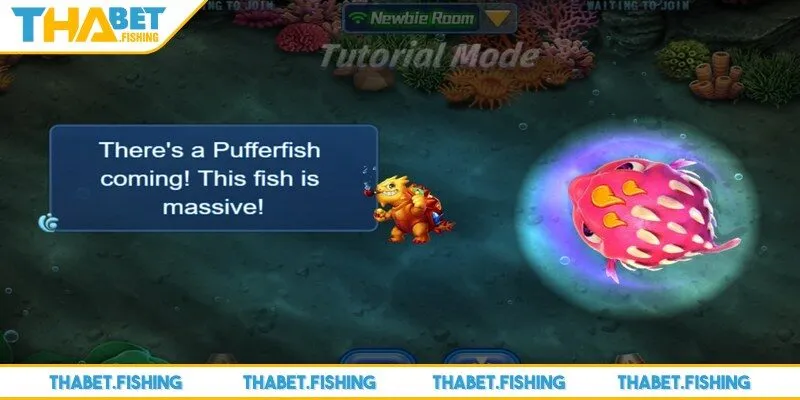 Game bắn cá THABET thiết nhiều phòng với mức cược khác nhau