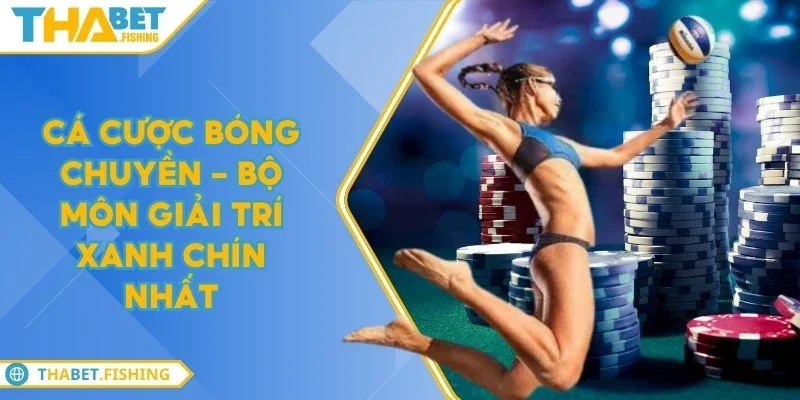 Cá cược bóng chuyền - Bộ môn giải trí xanh chín nhất 6 ca cuoc bong chuyen