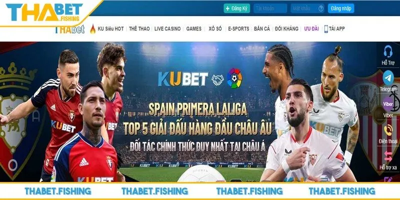 Tìm hiểu một số lỗi thường gặp để tránh sai sót khi tiến hành đăng ký THABET